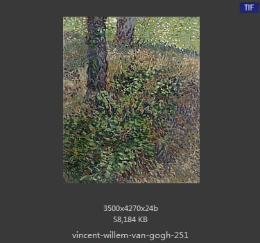 Vincent van Gogh