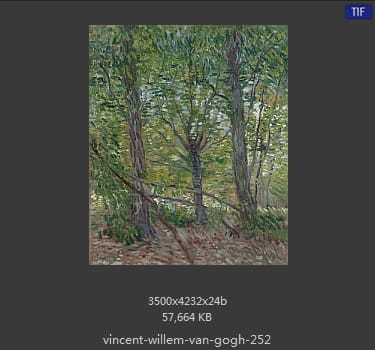 Vincent van Gogh