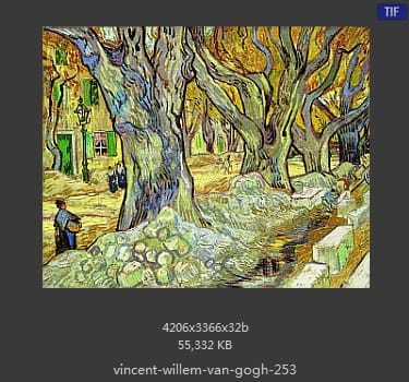 Vincent van Gogh