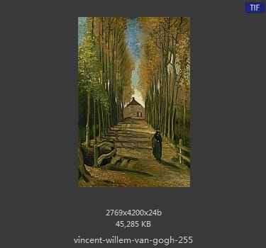 Vincent van Gogh