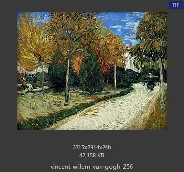 Vincent van Gogh