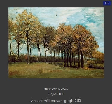 Vincent van Gogh
