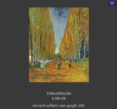 Vincent van Gogh