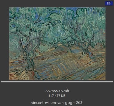 Vincent van Gogh