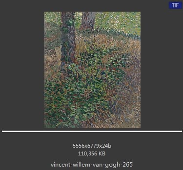 Vincent van Gogh