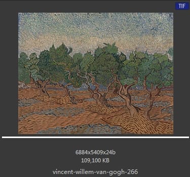Vincent van Gogh
