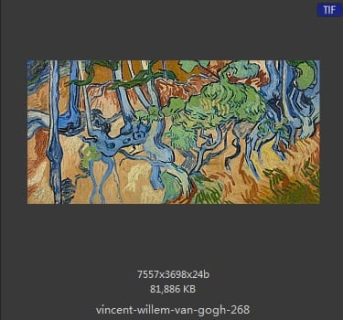 Vincent van Gogh