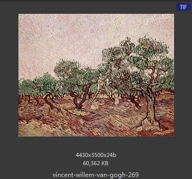 Vincent van Gogh