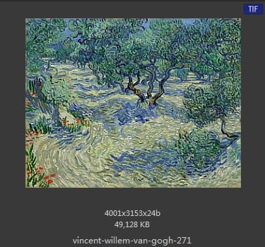 Vincent van Gogh