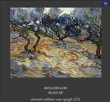 Vincent van Gogh