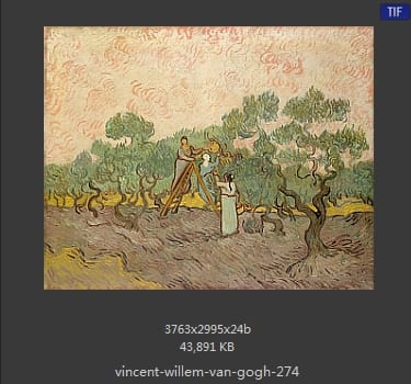 Vincent van Gogh