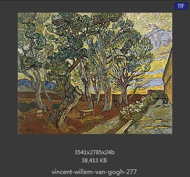 Vincent van Gogh