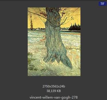 Vincent van Gogh