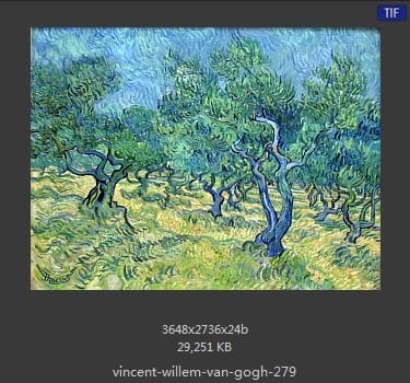 Vincent van Gogh