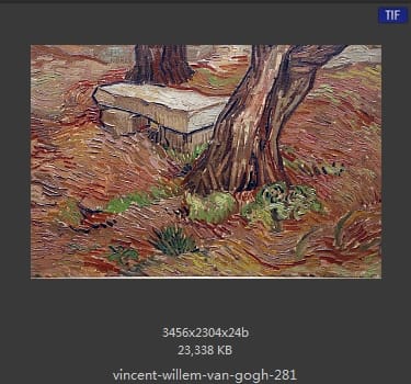 Vincent van Gogh