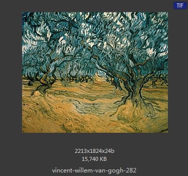 Vincent van Gogh