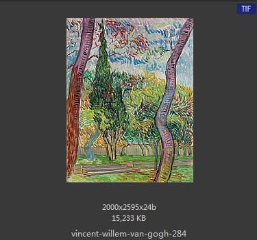 Vincent van Gogh