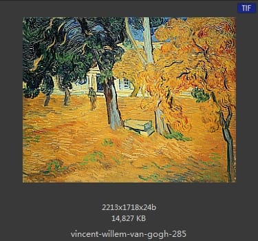 Vincent van Gogh