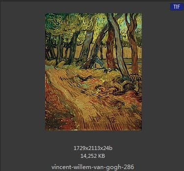Vincent van Gogh