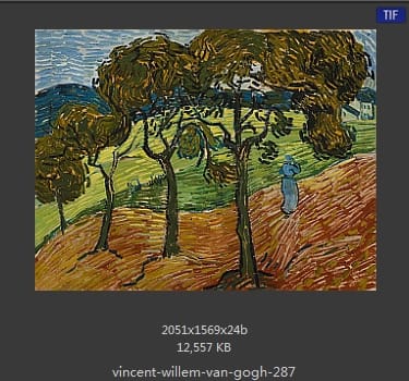 Vincent van Gogh
