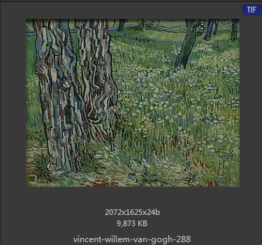 Vincent van Gogh