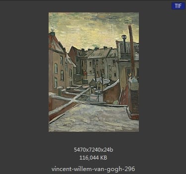 Vincent van Gogh