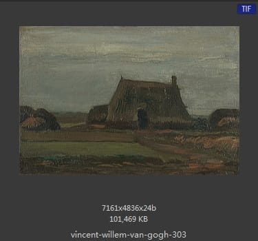 Vincent van Gogh