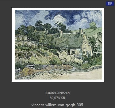 Vincent van Gogh
