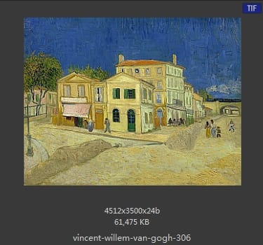 Vincent van Gogh