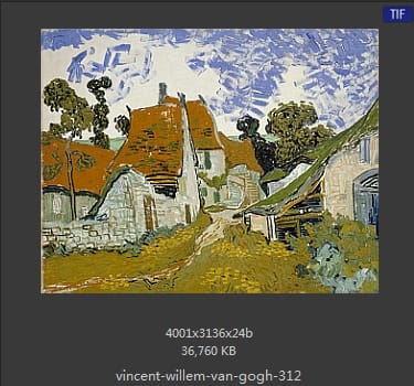Vincent van Gogh