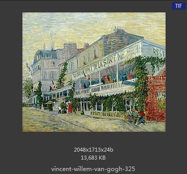 Vincent van Gogh