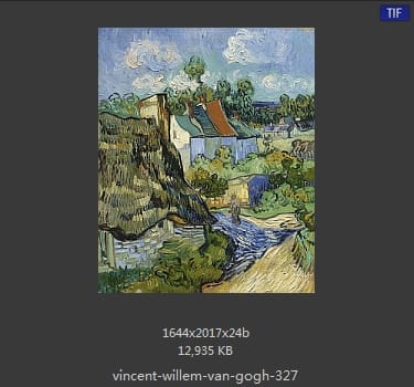 Vincent van Gogh
