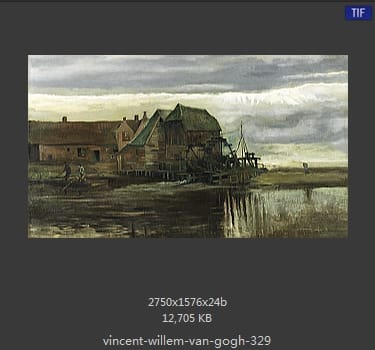 Vincent van Gogh