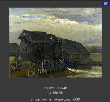 Vincent van Gogh