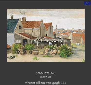 Vincent van Gogh