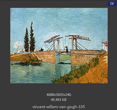 Vincent van Gogh