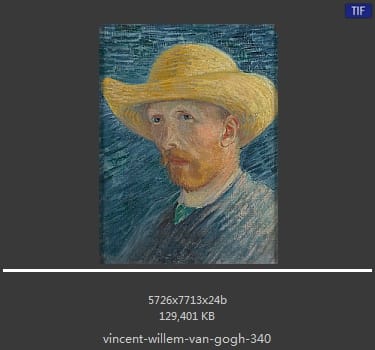 Vincent van Gogh
