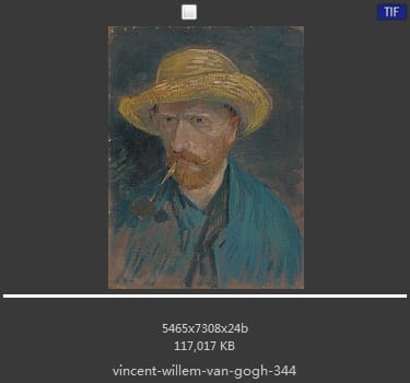 Vincent van Gogh
