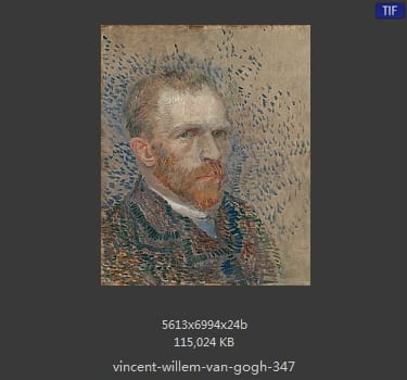 Vincent van Gogh