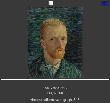 Vincent van Gogh