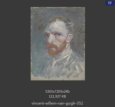 Vincent van Gogh