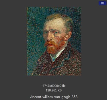 Vincent van Gogh