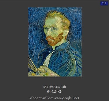 Vincent van Gogh