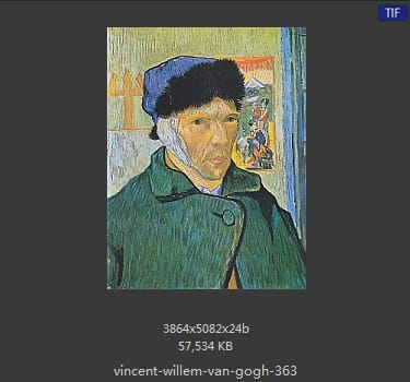 Vincent van Gogh