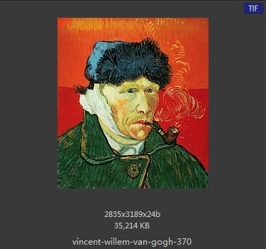Vincent van Gogh