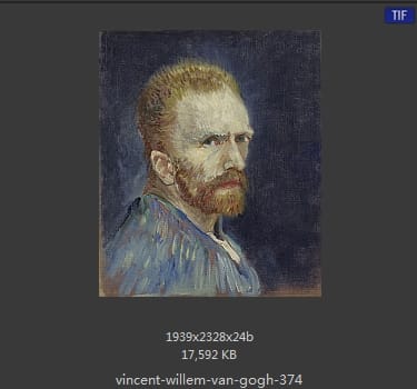 Vincent van Gogh
