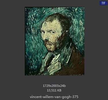 Vincent van Gogh
