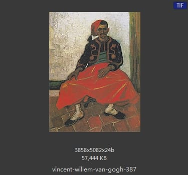 Vincent van Gogh