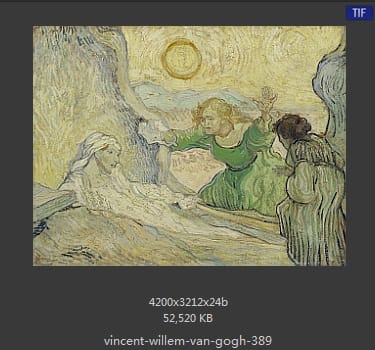 Vincent van Gogh