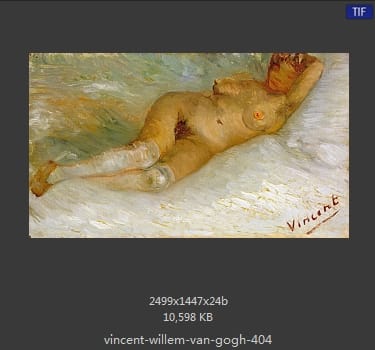 Vincent van Gogh